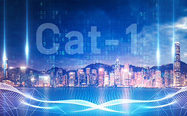 工信部重磅發(fā)文，Cat-1/NB-IoT再次站上新風(fēng)口