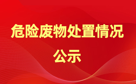 2024年危險廢物產(chǎn)生、處置情況公示